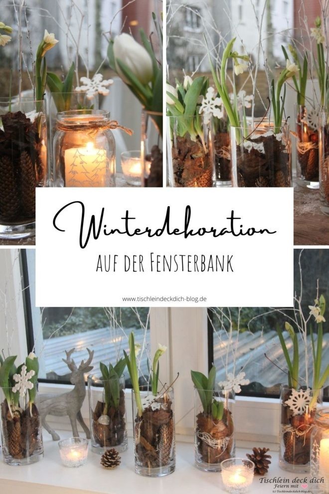 Winterdekoration auf der Fensterbank mit Blumenzwiebeln - Tischlein deck  dich